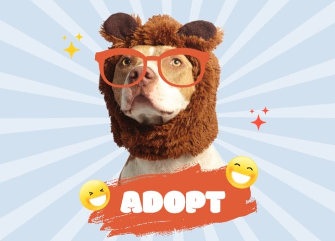 Дизайн, как вам нравится, с милой фотографией животного